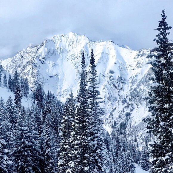 Meet your Posher, Samantha - Picture 1 of 1